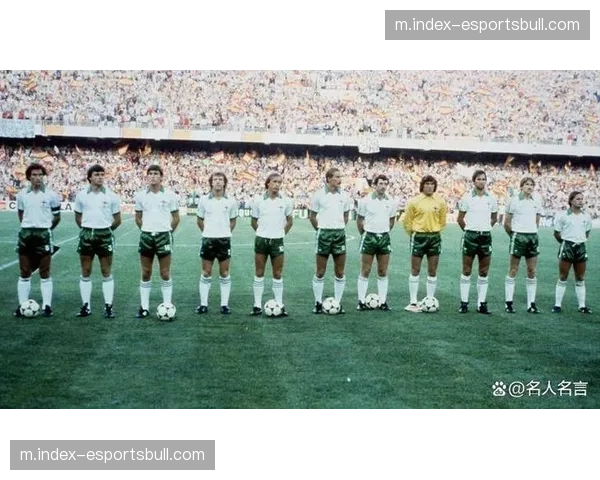 高温环境下球员决策能力下降 1994年世界杯爱尔兰门将亲述经历